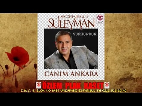 Pecenekli Süleyman -  Vaz Gececegim