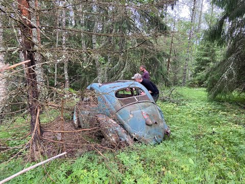1953 VW Oval Ragtop Rescue in The Deep Woods of Norway