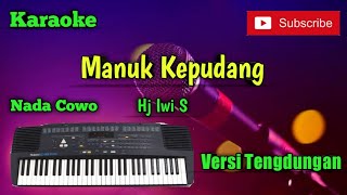 Download lagu Manuk Kepudang ( Hj Iwi S ) Karaoke Nada Cowo Musik Sandiwaraan Cover mp3