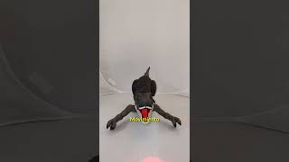 Dinosaurio Juguete Con Control Remoto