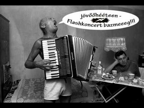 Flash-Képviselő funky