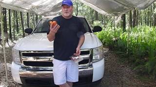 Chevy Silverado Airbag/SRS light, Diagnose and How to fix 2008 5.3 LT