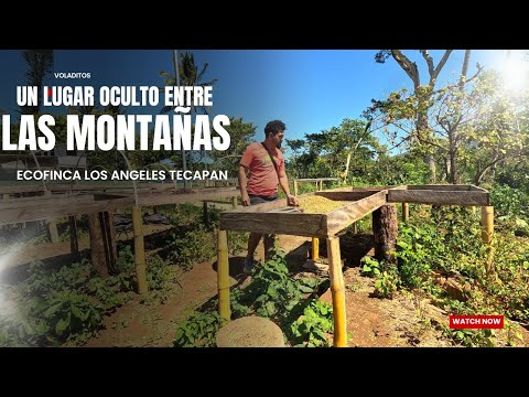 La mejor finca Cafetalera en Usulután, FINCA LOS ANGELES, TECAPAN 