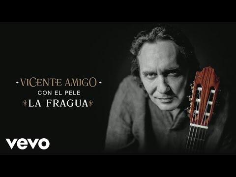 Vincente Amigo con El Pele - La Fragua (Audio) ft. El Pele