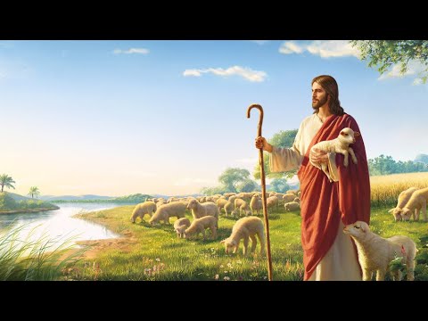 Santa Messa Domenica 11 Settembre, 2022