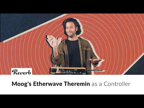 Moog Etherwave Analog Theremin image 4