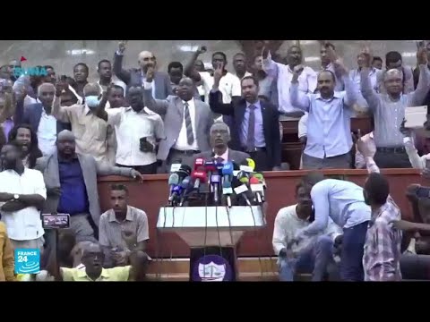 قوى إعلان الحرية والتغيير حل الأزمة في السودان يأتي عبر تأسيس دستور جديد