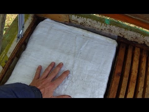 Холодные карманы в зиму, подготовка пасеки
