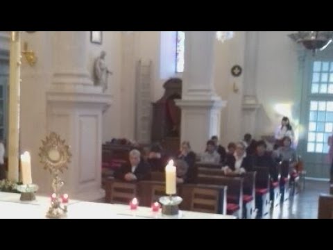 Nedjelja MILOSRĐA - Čas MILOSRĐA