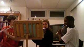 Litiaj Flute Trio: Trio #1 Allegro