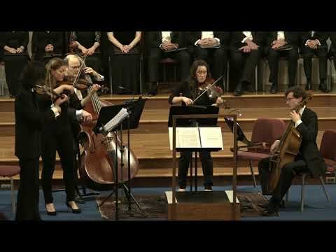 MARIN BAROQUE - Canon in D Major - Johann Pachelbel