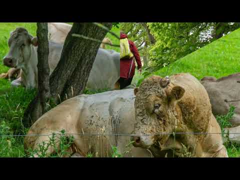 Pieterpad deel 2  Etappe 4  5  6 en 7