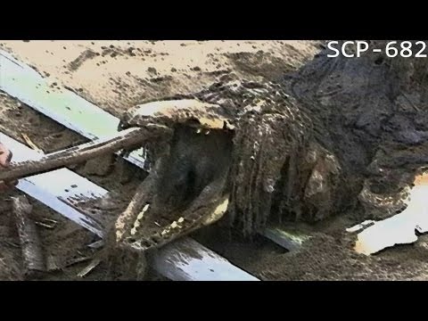Entrevista a SCP-682
