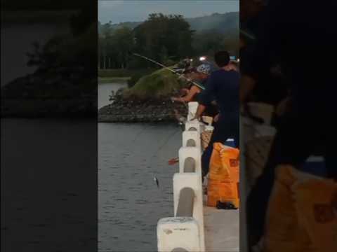 Pescaria 🎣 Em Fartura SP