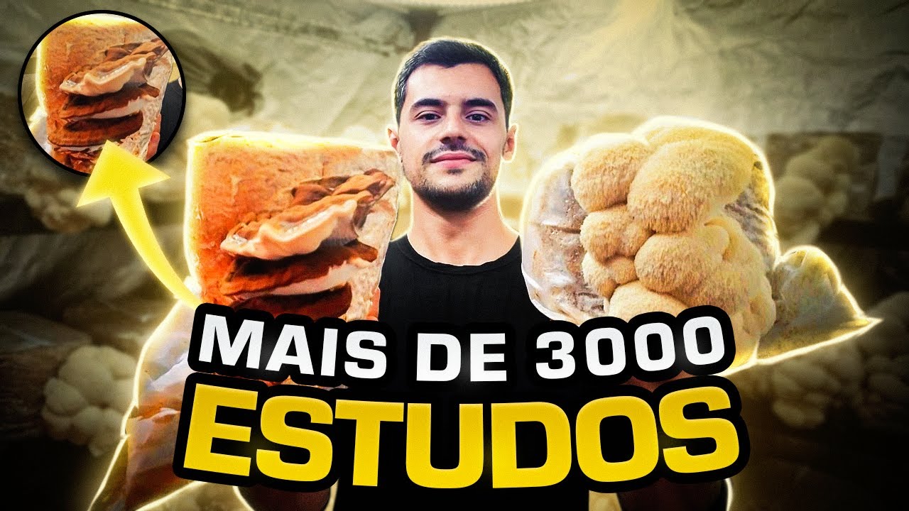 5 principais COGUMELOS FUNCIONAIS  e suas PROPRIEDADES