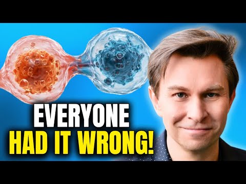 This Drink Can Regrow Stem Cells & Burn Fat | Dr. David Sinclair