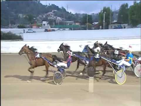 Trotto 14/07/2017 - 3ª corsa