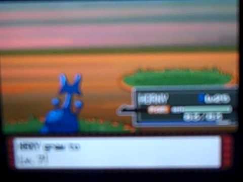 Pokemon Platinum Walkthrough Part 13