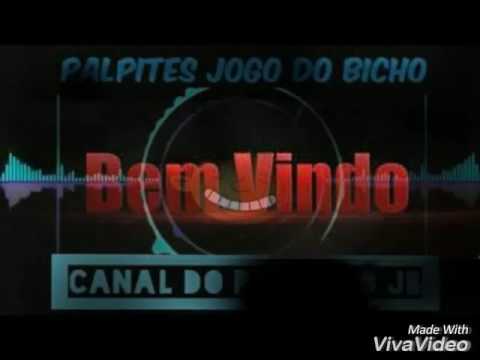 PALPITES PRO JOGO DO BICHO- 06/03/17- CANAL DO PRETINHO JB