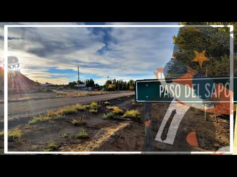 ¡ES UN HABITANTE DE 'CHOLILA'!