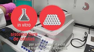 Miniatura do vídeo
