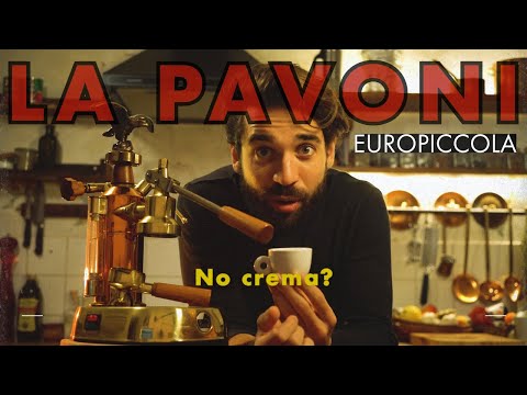 EUROPICCOLA: 7 Crucial Insights & Common Mistakes to Avoid