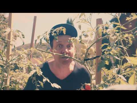 The Death Set - Fall Down (official video)