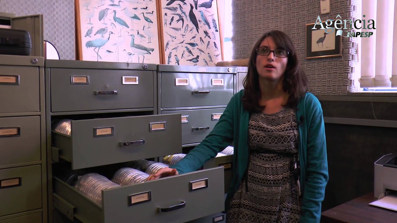 Software identifica espécies de animais pelos sons que emitem