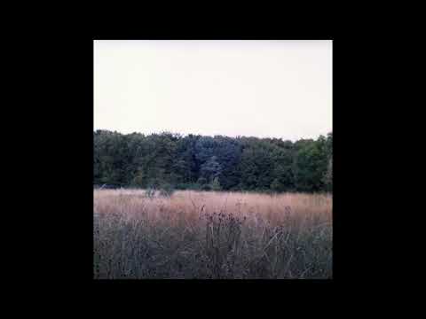 MITÚ - VOLANDO (Audio Oficial)