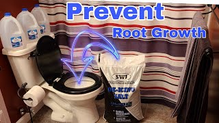 How to prevent roots from growing in main sewer line.