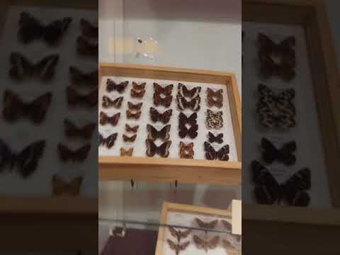 Muzeul din tulcea, super tare