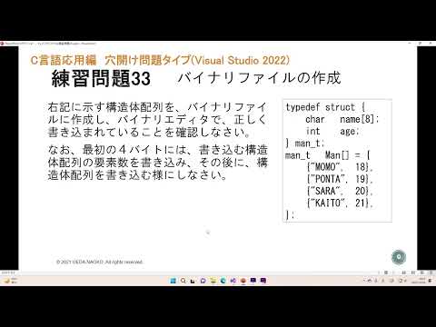 ビジュアルバイナリについて詳しく解説