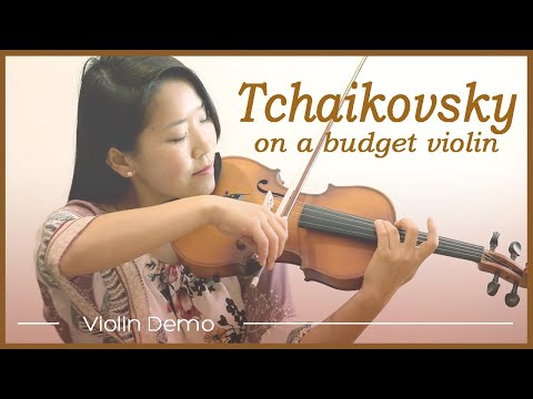 Cheap Beginner Violin from Amazon (Mendini MV300) Played by a Pro Violinist (Wow!)