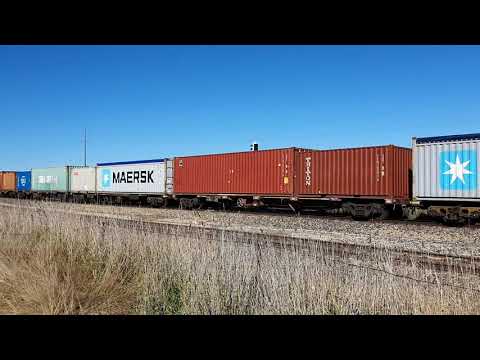 a Bathurst bound SSR container train with mixed locos