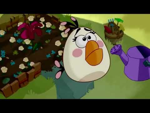 Angry Birds Toons - S1E13 - Gardening with Terence