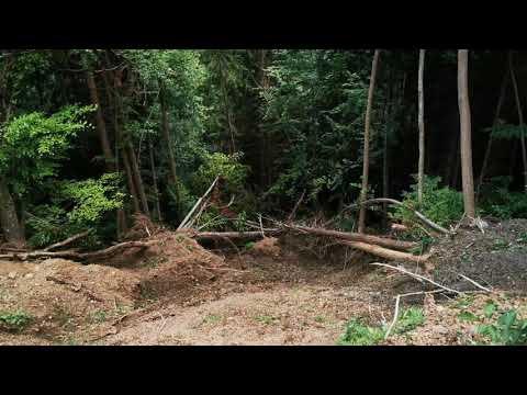 Noul drum spre Vadu Dobrii, în șantier