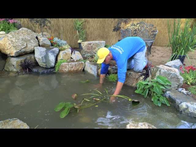 How to build a Fish Pond - Part 21 | Pond Plants & Waterfall - Final