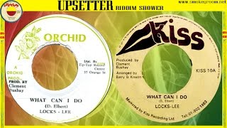 WHAT CAN I DO + WA FI DO (DREADER) VERSION ⬥Locks Lee + Bushay All Stars⬥