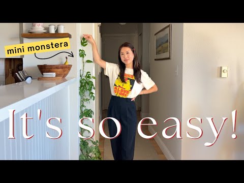 How to make a plant climb the wall (using plant climbing wall clips!) 🌿