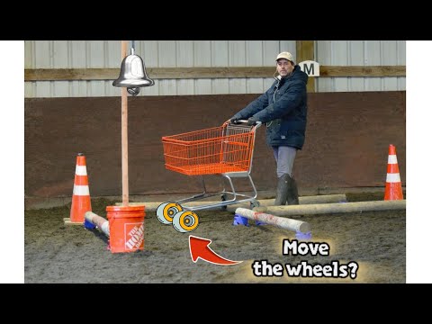 Working Equitation Bell Corridor W/ André Ganc