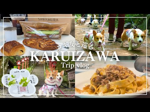 YouTube動画を再生