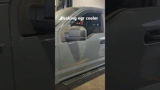 2019 f150 2.7 White smoke loosing coolant not head gasket. Bad EGR cooler. #ford