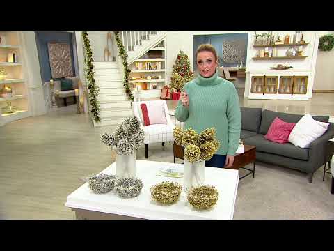 Inspire Me! Home Decor Set of 8 Decorative Pinecone Picks on QVC