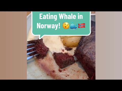 Whale Adventure: American Tastes Norway's Delicacy!