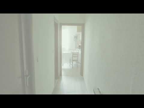 Amor, de Paloma Mozo I Corto ganador del Premio Llámalo Cancer 2024