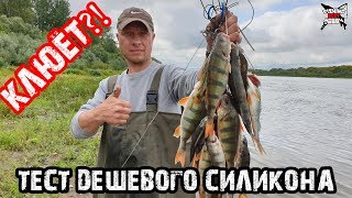 Ловля окуня на отводной поводок в августе