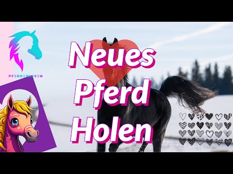 Neues Pferd holen