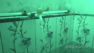 Download lagu original water relaxation sounds I ( suara air keran asli ) I original sounds mp3