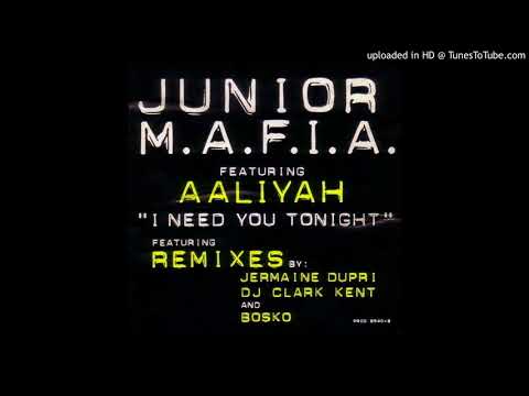 Junior M.A.F.I.A. - I Need You Tonight [So So Def Remix] (feat. Aaliyah) [Explicit Version]