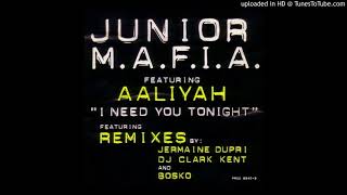 Junior M.A.F.I.A. - I Need You Tonight [So So Def Remix] (feat. Aaliyah) [Explicit Version]
